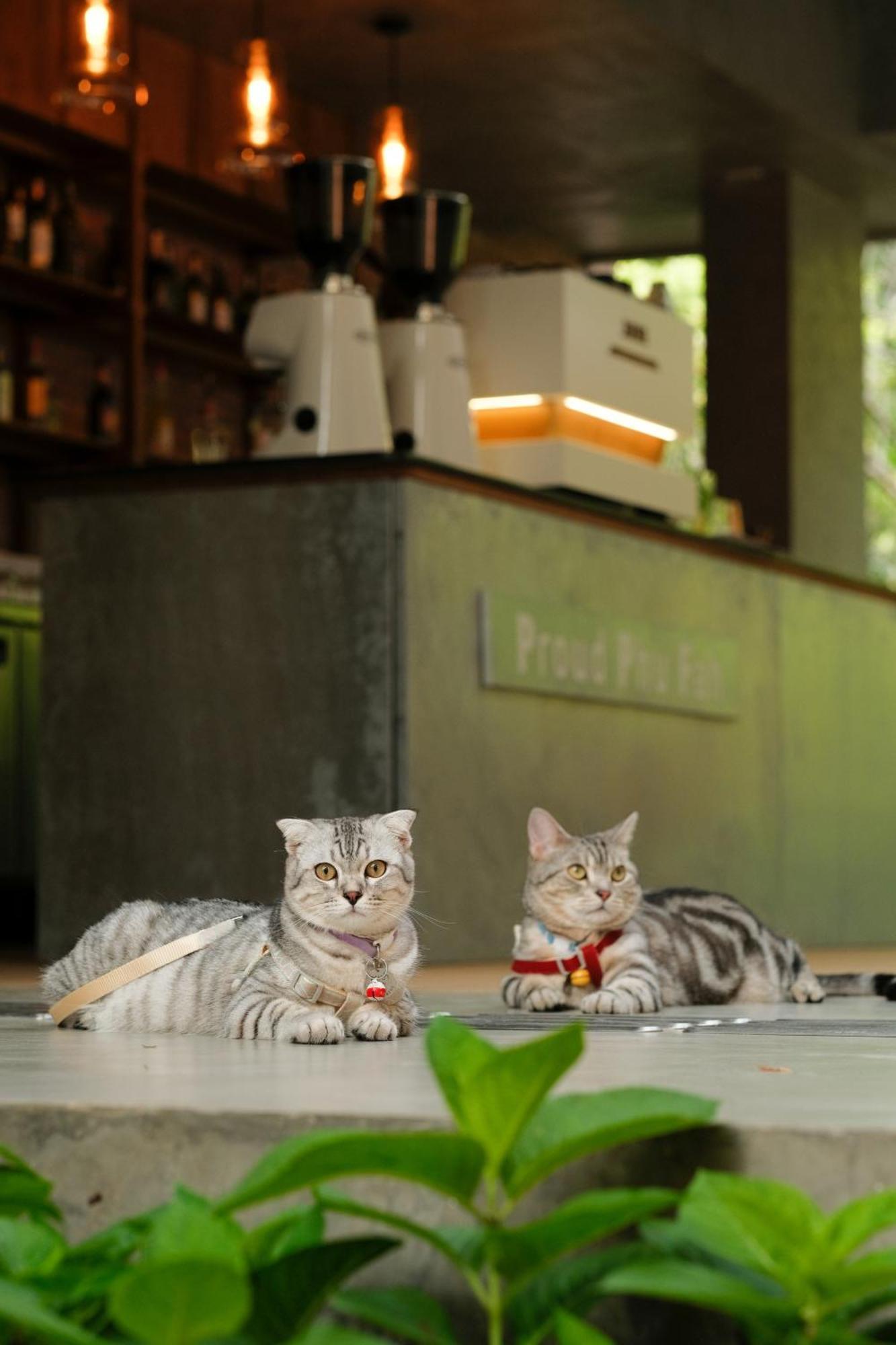 Proud Phu Fah Muang Chiang Mai Hotel Kültér fotó